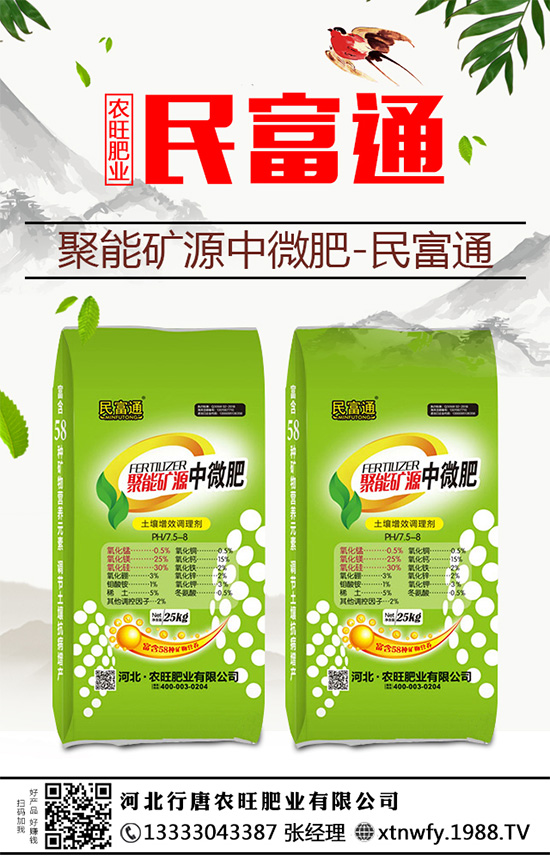 生姜重茬種植危害大,到底是如何引起的?該與哪些作物輪作呢?