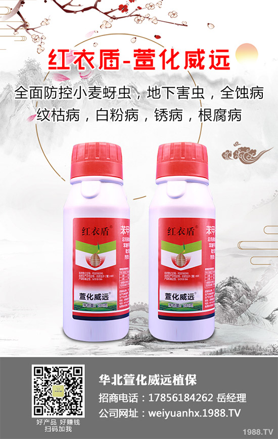     �𻨿��ֽв�ܽ����Ұܽ�صȵȣ���һ�N��ˎ����ʳ�Þ�һ�w����������Ѫ���(zh��n)ʹ�ȸ��N��Ч�Ĳݱ�ֲ������Ҫ����ˮ�[���ȣ���I(y��ng)�B(y��ng)�r(ji��)ֵҲ�Ƿǳ��S���������҇�(gu��)�ǳ��ܚgӭ����ô���𻨿�ԓ��������أ��𻨿��߮a(ch��n)���༼�g(sh��)����Щ��