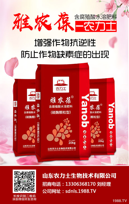     ���؃r(ji��)������������Εr(sh��)�ǂ�(g��)�^��2020-5-14�����������(b��o)�r(ji��)�Ƕ�����