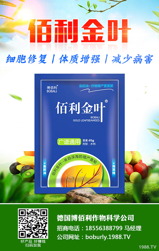 蘿卜撇葉中應(yīng)該注意什么?蘿卜撇葉的方法及注意事項(xiàng)!