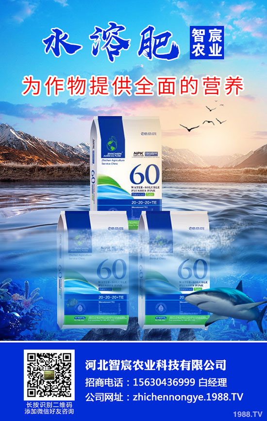 2020���؃r��Ҫ�ϝq���������������߄ݷ�����