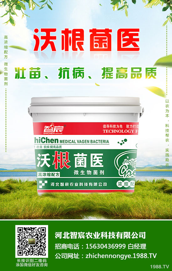 鉀肥價格整體偏低運行!最新鉀肥行情分析2020-5-15!