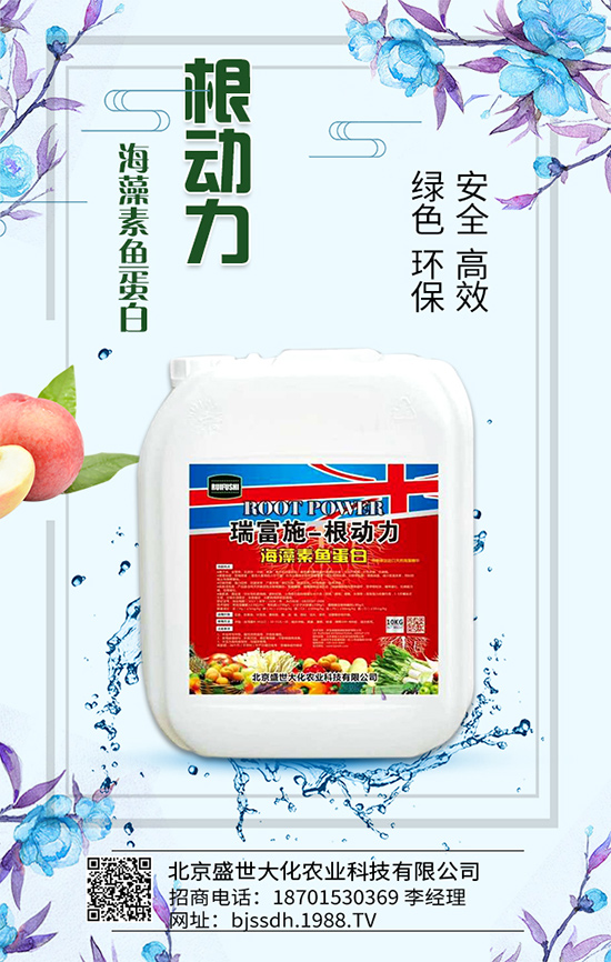 �Ә���ô���綨ֲ��������������M�м޽ӣ�