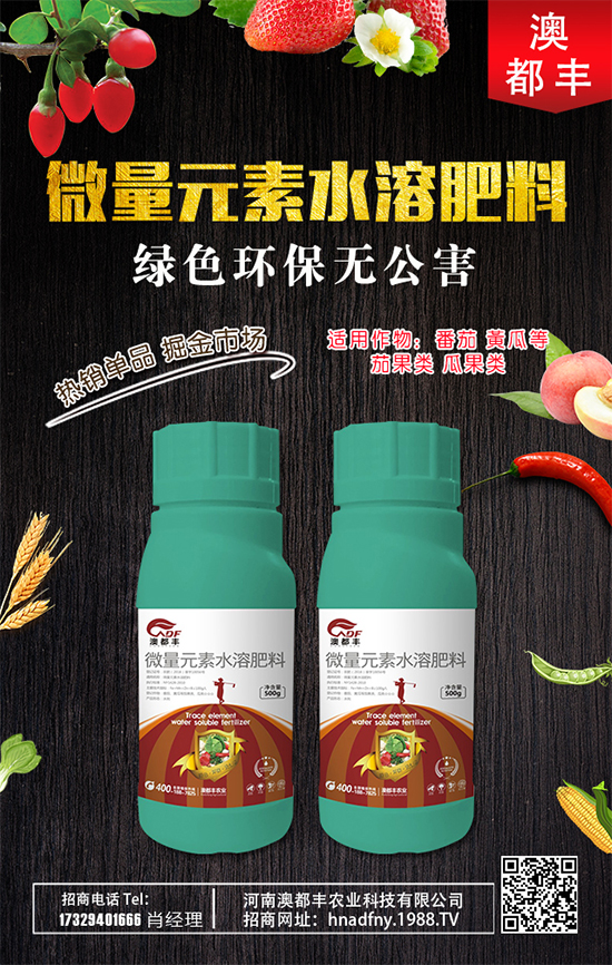 甜瓜什么時(shí)間種植好?甜瓜種植技術(shù)要點(diǎn)!