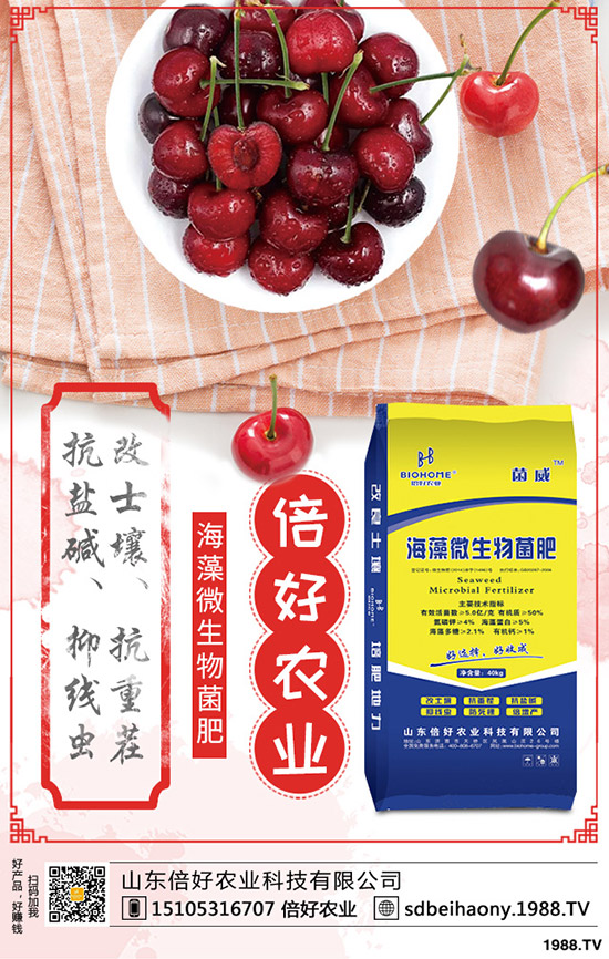     �޻������L���ڶ��������޻����L�����r�ڵı��F(xi��n)����Щ��