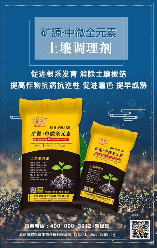 ��֥��ʲô�r�g�Nֲ����֥�����༼�gҪ�c��