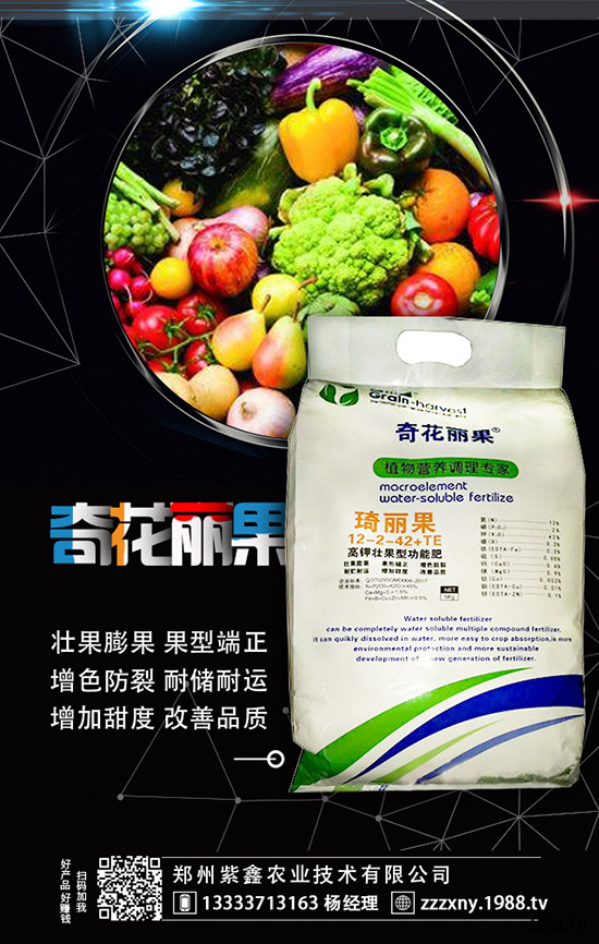 ��ݮĸ�綨ֲ������ʩ�ʣ����ӝ�ˮ��