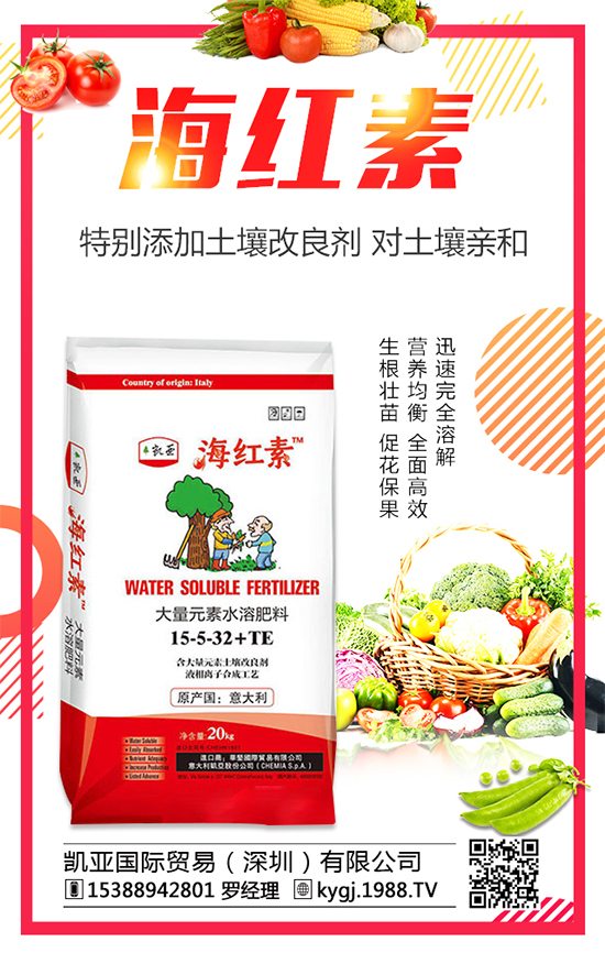 金錢草的產(chǎn)地分布在哪？金錢草種植注意事項！