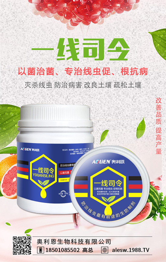 金錢草怎么養(yǎng)？金錢草養(yǎng)殖方法有哪些？