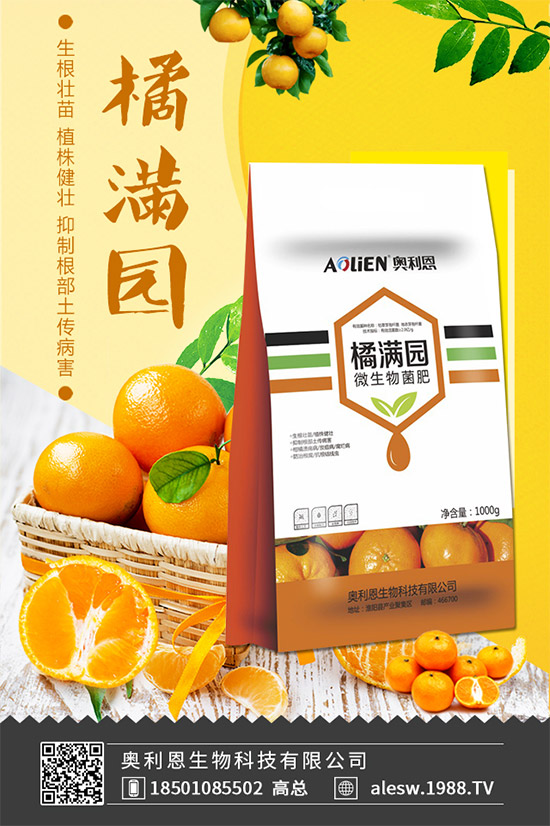 木瓜什么時(shí)間種植？木瓜幼苗怎么挑選？