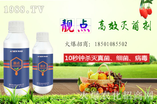 ����Ƭ��ʲô�������ԙ�����ʲô��̎��