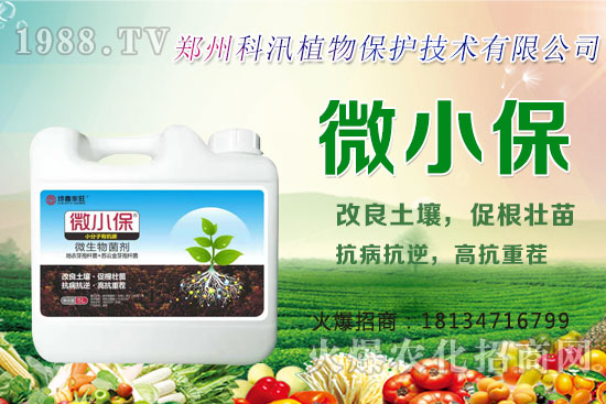 ����Ĺ�Ч�c���ã������c�����Ă�(g��)���РI(y��ng)�B(y��ng)��