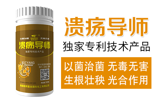 ������(d��o)��-(li��n)��μ�_02