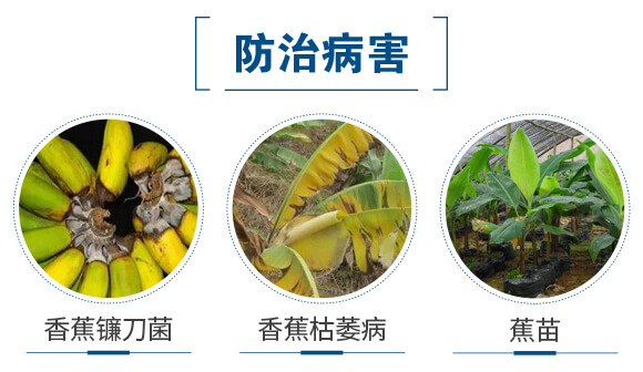 ��ľ����-(li��n)��μ�_03