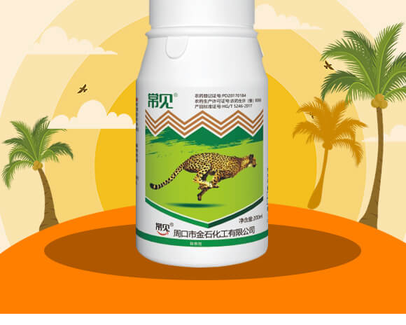 20%���ݿ�-��Ҋ(ji��n)-��ʯ����_02