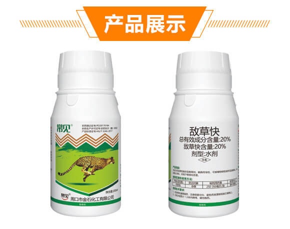 20%���ݿ�-��Ҋ(ji��n)-��ʯ����_09