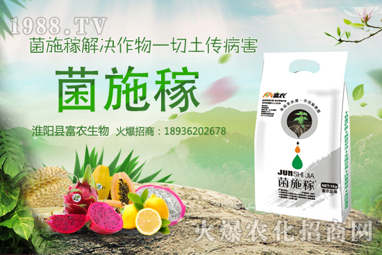 2020���r(n��ng)��NҰ��ٍ�X(qi��n)�᣿�x����ЩҰ��Ʒ�NЧ��������h�ղ���