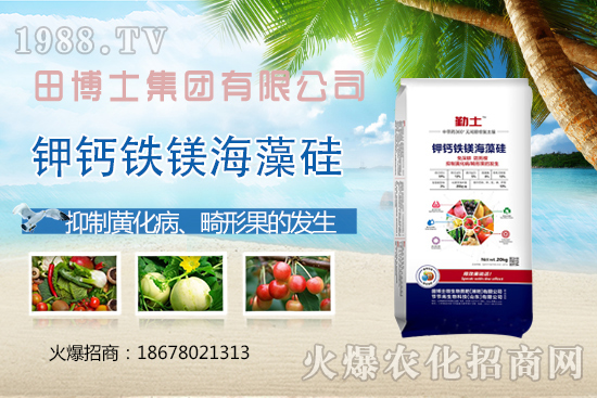 花生重茬會產(chǎn)生哪些影響?如何解決花生重茬問題?