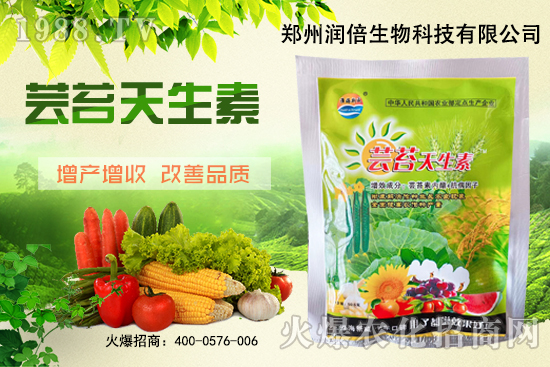 �S�B������ô�������S�B���ڲ��x��������