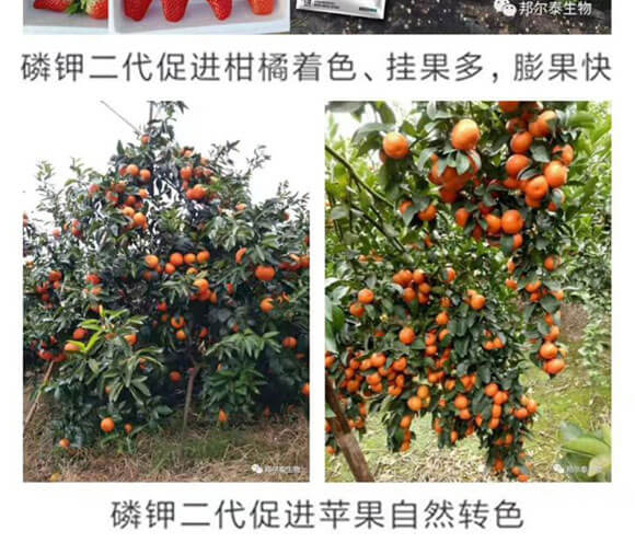 ��⛶���-һ����-�̩_10