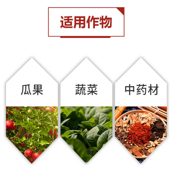 ϡ��΢�������-���ܴa-ؐ��(l��)_08