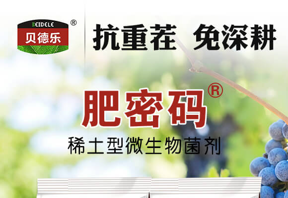 ϡ��΢�������-���ܴa-ؐ��(l��)_01