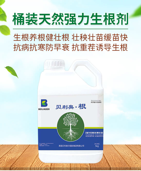 桶裝天然強力生根劑-貝利奧·根-海拉維_01