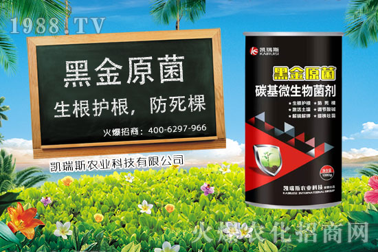     ����ʲô�r(sh��)����죬���׵��ի@�r(sh��)�������׵ĠI(y��ng)�B(y��ng)�r(ji��)ֵ��