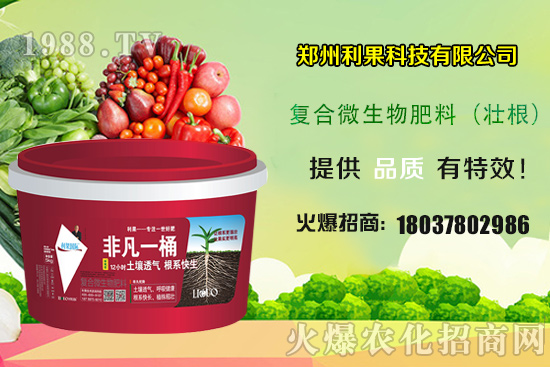 2020年種植辣椒賺錢(qián)嗎?種植前景如何?辣椒一畝地產(chǎn)量有多少?