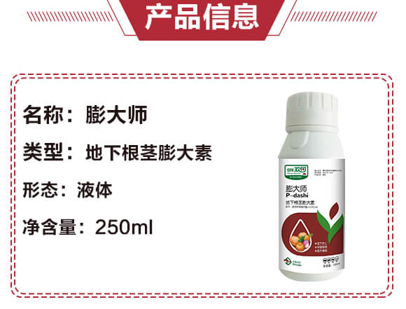 ���¸��o�����-���-����g��-�������r(n��ng)_04