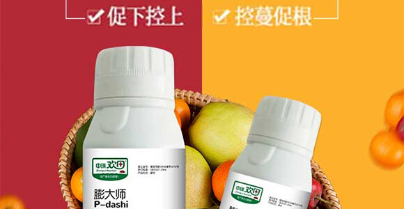 ���¸��o�����-���-����g��-�������r(n��ng)_02