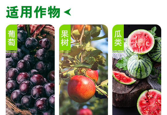 青島佐邦生物科技有限公司產(chǎn)品詳情頁(yè)1_04