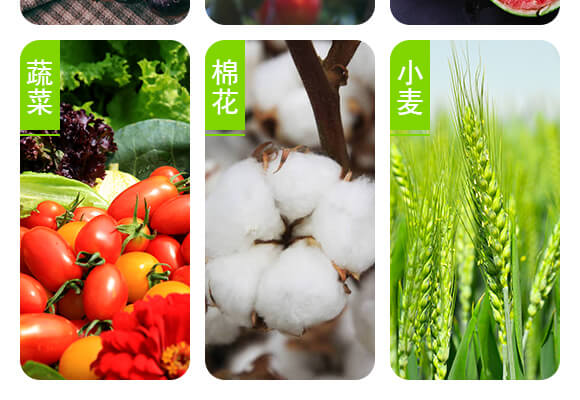 青島佐邦生物科技有限公司產(chǎn)品詳情頁(yè)1_05