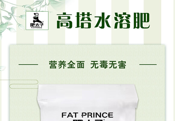 ����ˮ�ܷ�15-5-32-��̫��_01