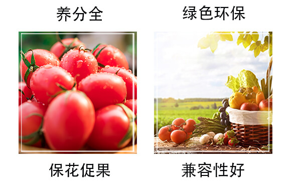 ���帯ֳ���͏�(f��)�Ϸ���18-18-18+TE-��̫��_05