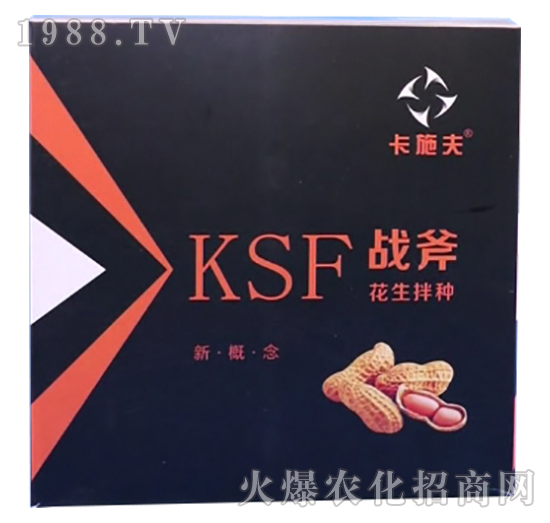 ������N����Щ��̎��������N��ʲô��N����