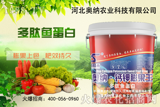 ���ӱ��W�{����Ʒ���u��������������o����ע��I�B(y��ng)�·�����