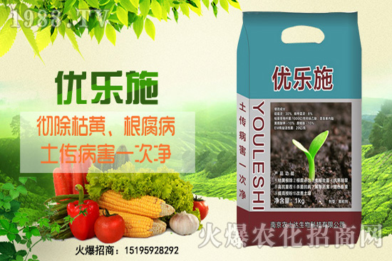 種芹菜空心多,品質差?芹菜空心原因及防治措施!