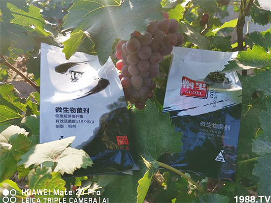 �îa(ch��n)Ʒ�����ã���һ�t���΢������������t���͑��挍(sh��)������