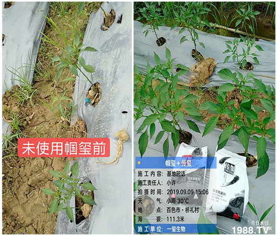 �îa(ch��n)Ʒ�����ã���һ�t���΢������������t���͑��挍(sh��)������