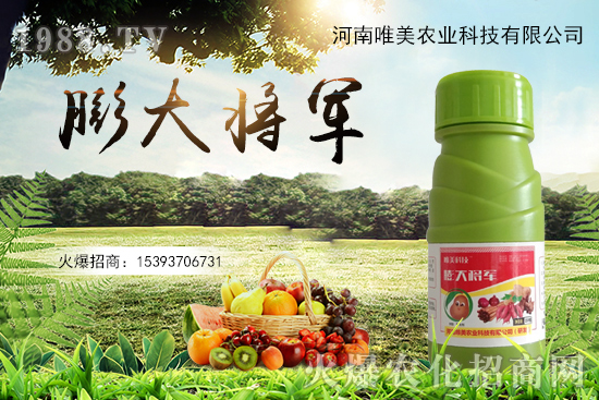 ����(sh��)�����������(sh��)С��ô��Q������(sh��)����ʵ��x������Щ��