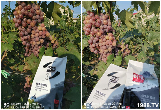 �îa(ch��n)Ʒ����������һ�t���΢������������t���͑��挍(sh��)������