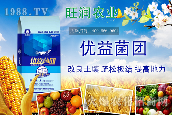 �����ЙC(j��)����ʲô���������ЙC(j��)�ʵă�(y��u)��(sh��)���c�������ϵą^(q��)�e��