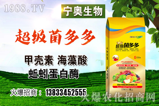 ���؃r(ji��)��