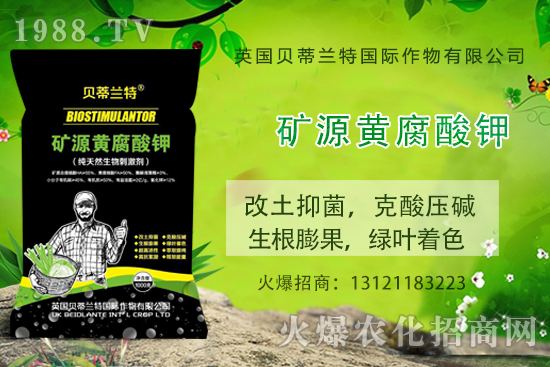 ���ÿ���ô�B(y��ng)�����ÿ��B(y��ng)ֳ������ע�����(xi��ng)��