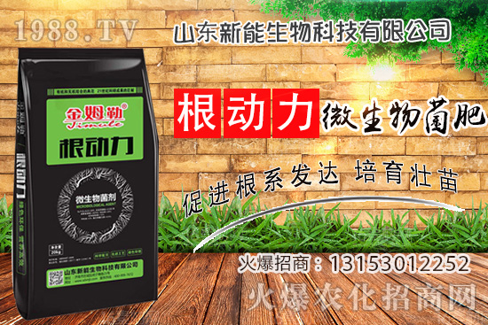 ����������ʲô����ʹ�á�΢������ʡ���ʲô��(y��u)�ݣ�