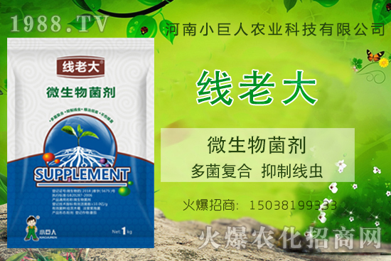 ���Y(ji��)���xզ���Σ����Y(ji��)���x����-�����ϴ󡱶����(f��)�������ƾ��x��