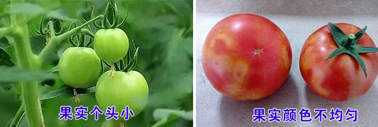 ����(sh��)��(w��n)�}