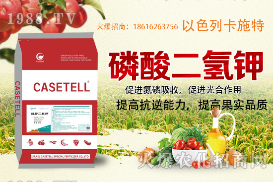  ����������ʲô���ϣ������������ü�ʹ�÷�����