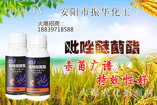 黃瓜白粉病危害有哪些,黃瓜白粉病怎么治?該打什么農(nóng)藥?